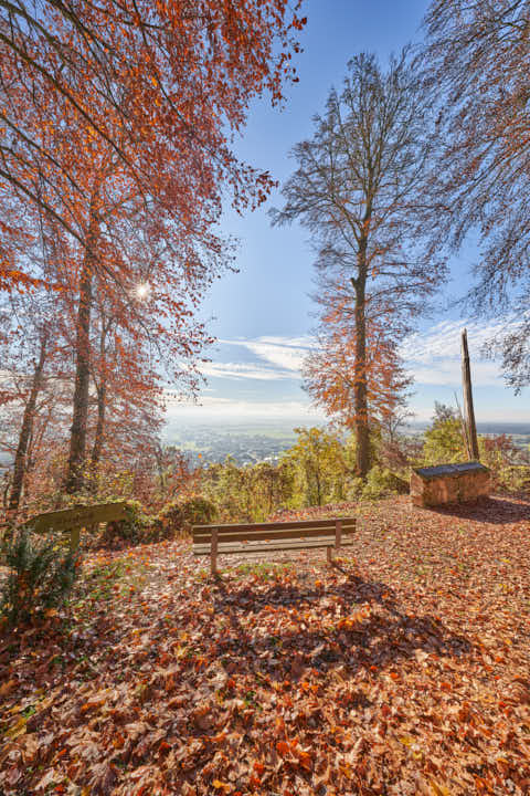 Gemeinde Julbach Landkreis Rottal-Inn Schlossberg Herbst (Dirschl Johann) Deutschland PAN